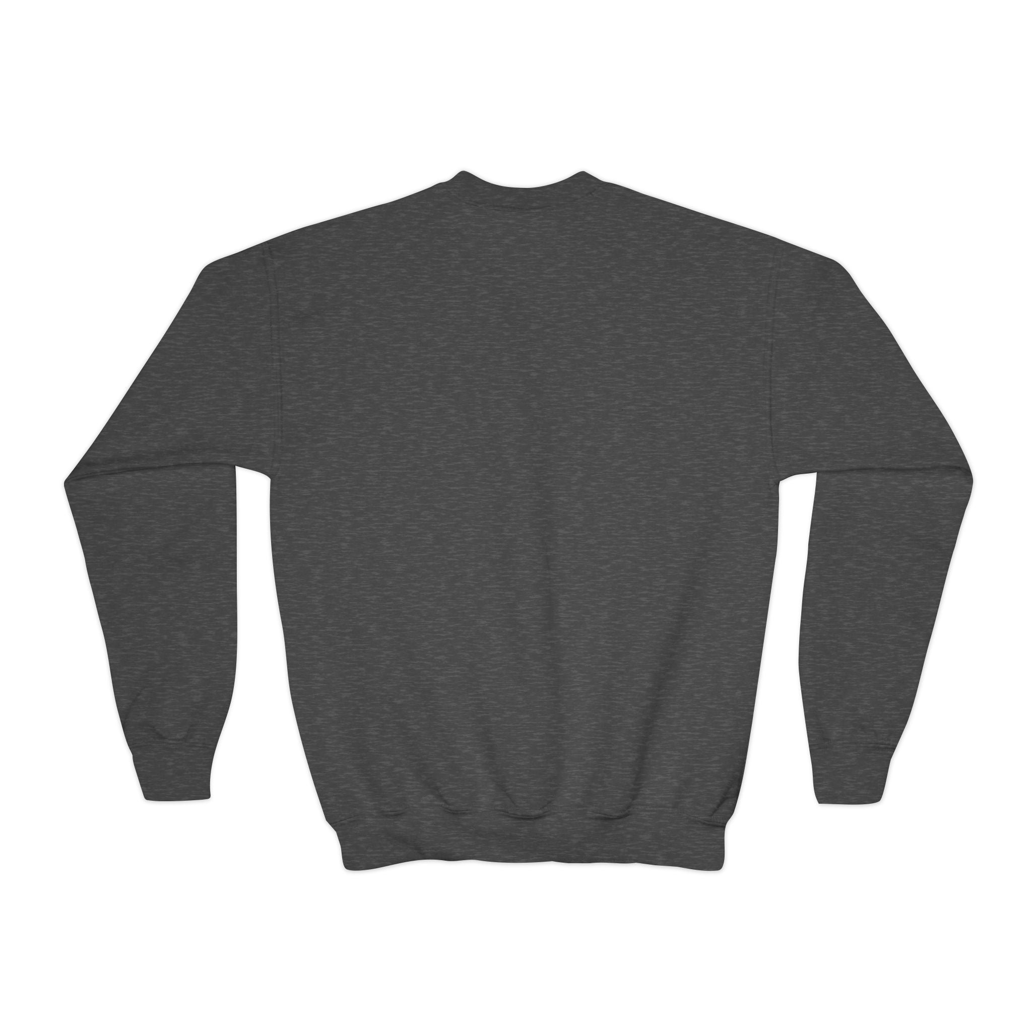 Youth Crewneck Sweatshirt – Patriotic Eagle USA Flag Graphic