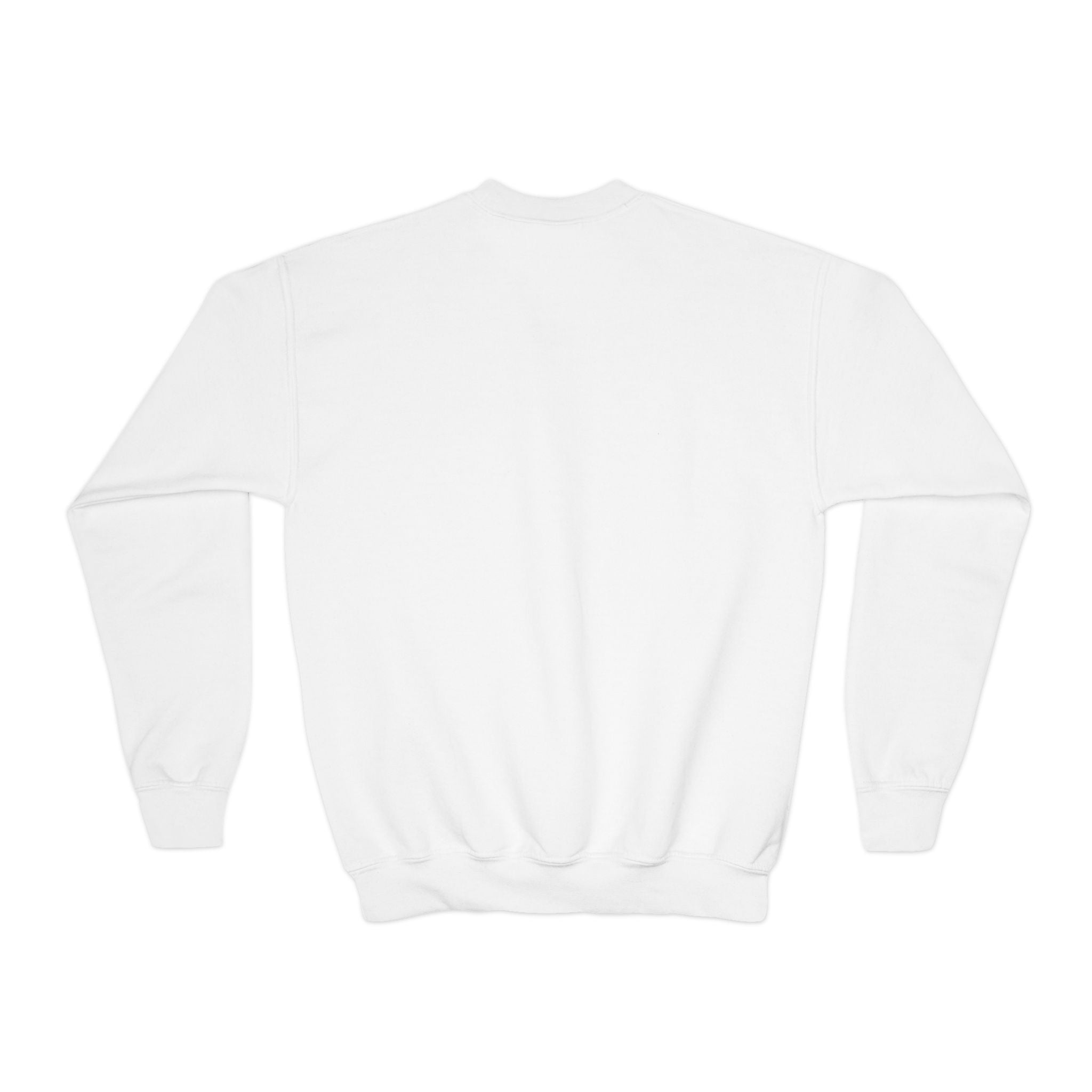 Youth Crewneck Sweatshirt – Patriotic Eagle USA Flag Graphic